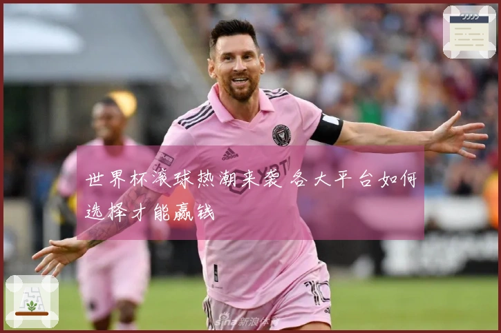 世界杯滚球热潮来袭 各大平台如何选择才能赢钱