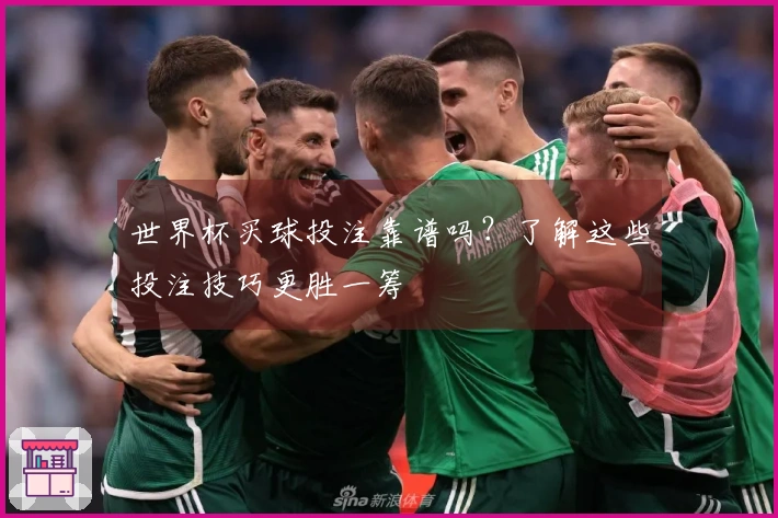 世界杯买球投注靠谱吗？了解这些投注技巧更胜一筹