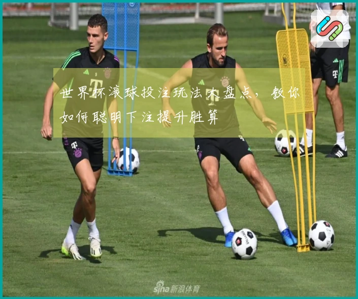 世界杯滚球投注玩法大盘点，教你如何聪明下注提升胜算
