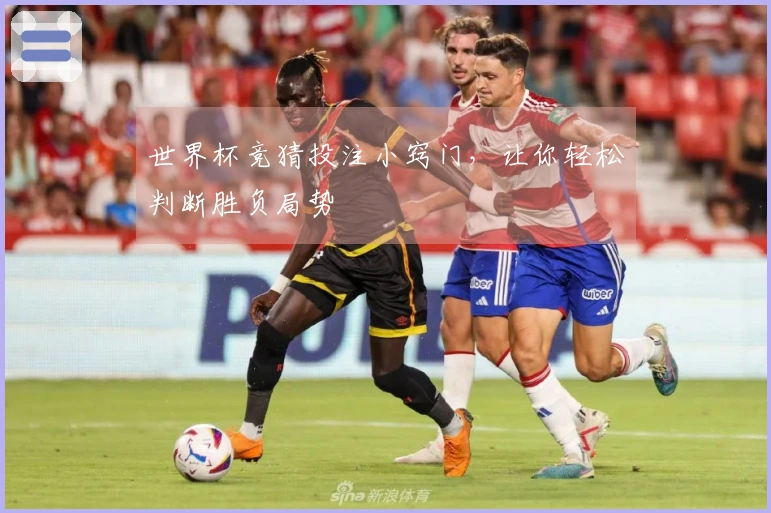 世界杯竞猜投注小窍门，让你轻松判断胜负局势