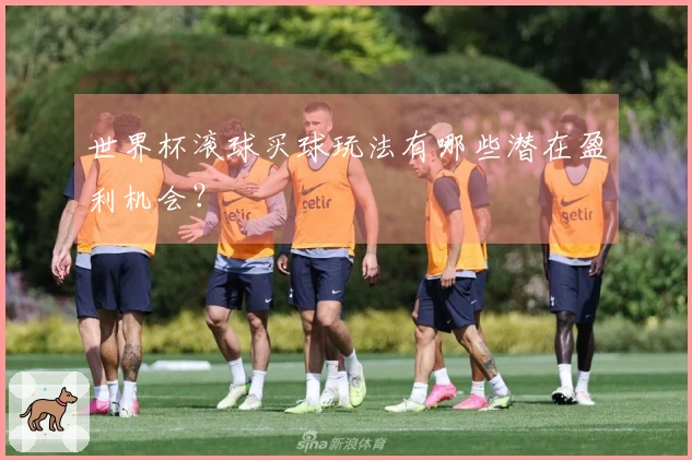 世界杯滚球买球玩法有哪些潜在盈利机会？