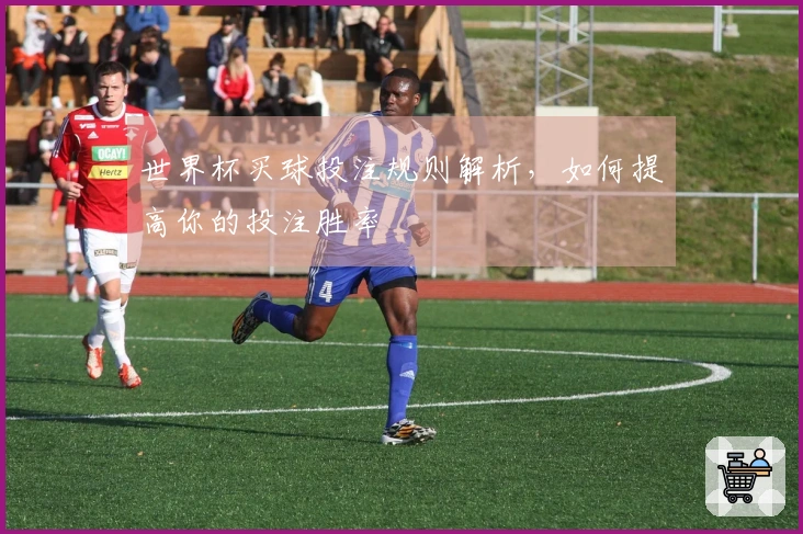 世界杯买球投注规则解析，如何提高你的投注胜率