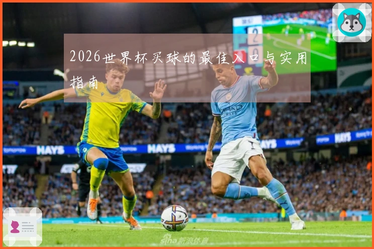 2026世界杯买球的最佳入口与实用指南