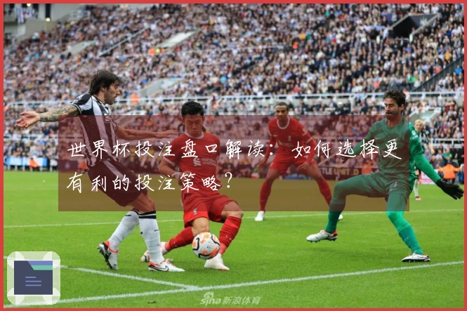 世界杯投注盘口解读：如何选择更有利的投注策略？